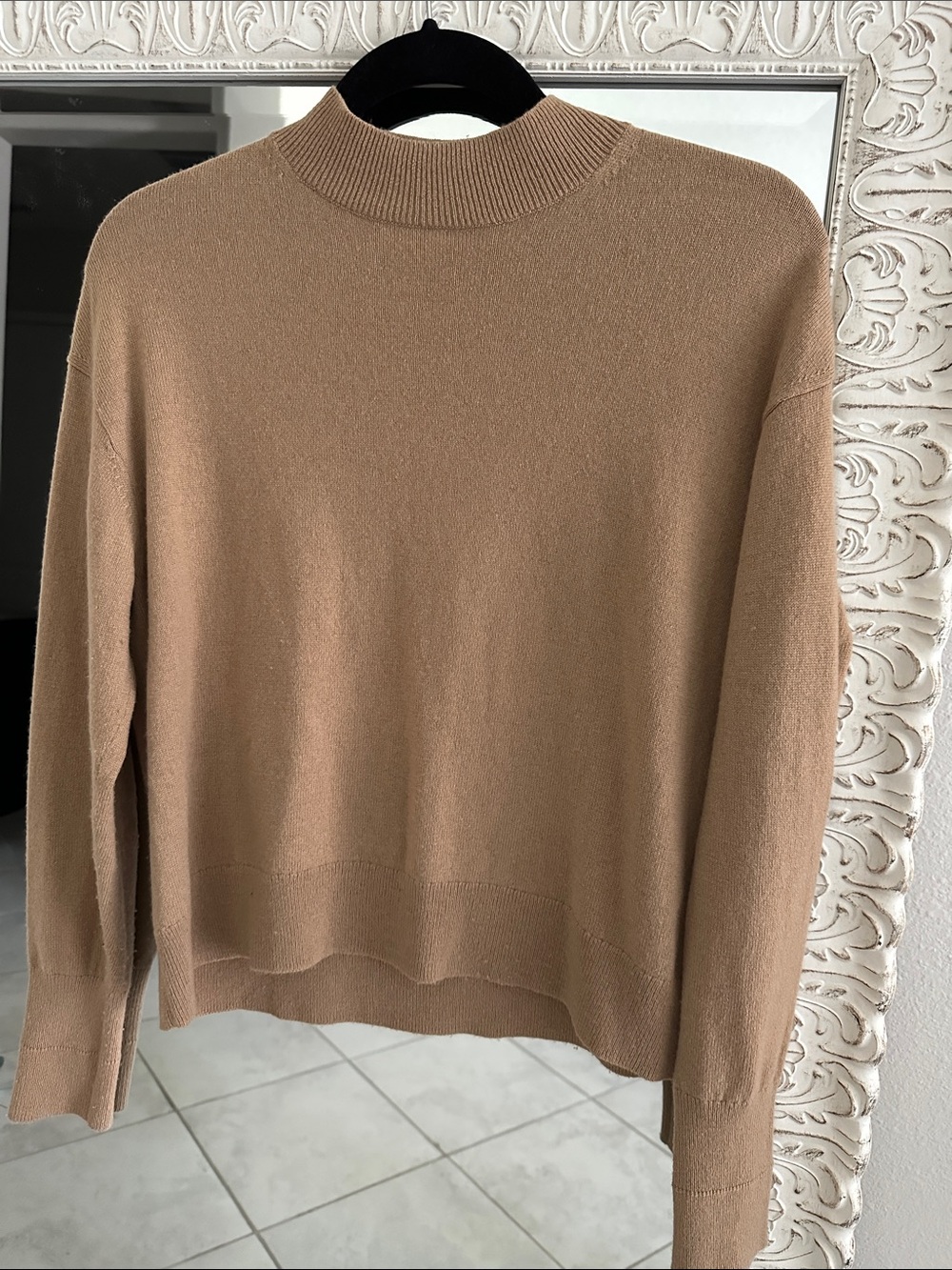 Everlane Cashmere Camel Mock Neck Sweater